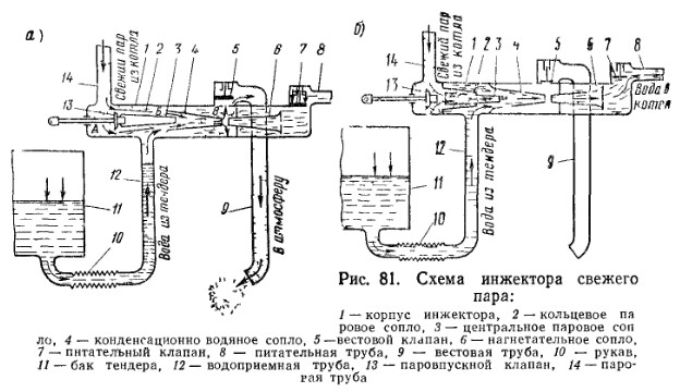 81