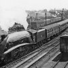 Newcastle_express_leaving_geograph-by-Ben-Brooksbank