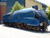 Number_4468_Mallard_in_York