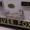 The_Silver_Fox_103326249